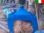 Immagine 4