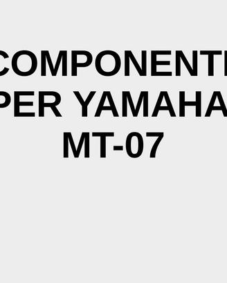 COMPONENTI YAMAHA MT07