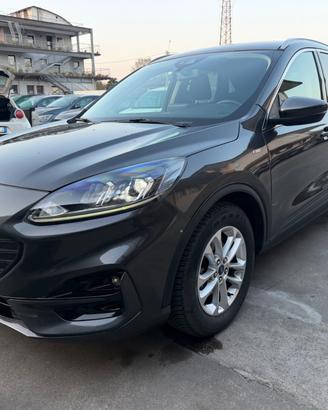 Ford Kuga 2.0 EcoBlue Hybrid 150 CV 2WD ST-Line