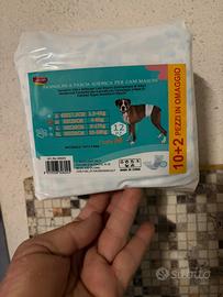 Pannolini a fascia x cane maschio