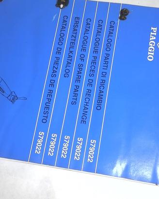 CATALOGO PARTI DI RICAMBIO SKIPPER PIAGGIO 579022