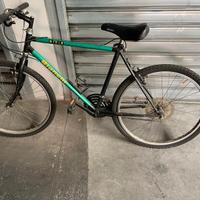 Montanbike Nyala