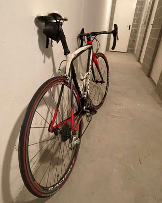 WILIER Triestina Zoard