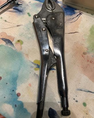 Pinza Beta.