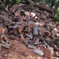 Legna secca di bosco