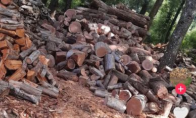 Legna secca di bosco