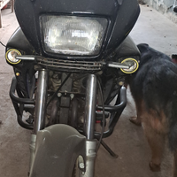 Honda dominator
