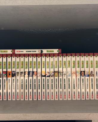 Hunter x Hunter 1-38 + variant (37, 38, istant 38)