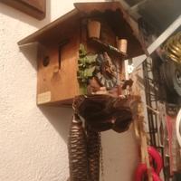 orologio cucu 