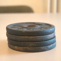 4 pesi Domyos da 1 kg – Ideali per allenamento a c