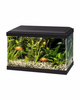 Acquario 20 Lt con coperchio 