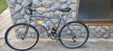 Mtb lee cougan