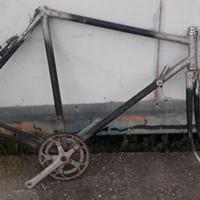 Telaio bicicletta uomo per scatto fisso