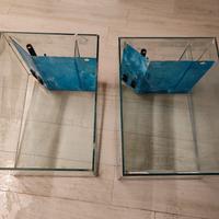 vasche per riproduzione discus 