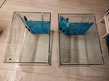 vasche per riproduzione discus 