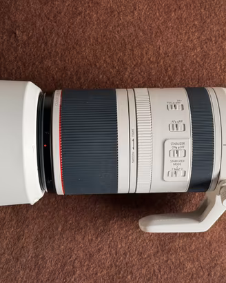Canon RF 100-500mm F/4.5-7.1 + RF 1,4x Extender