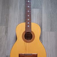 Chitarra Ferrarotti