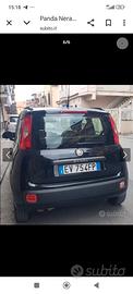 FIAT Panda 3ª serie - 2014
