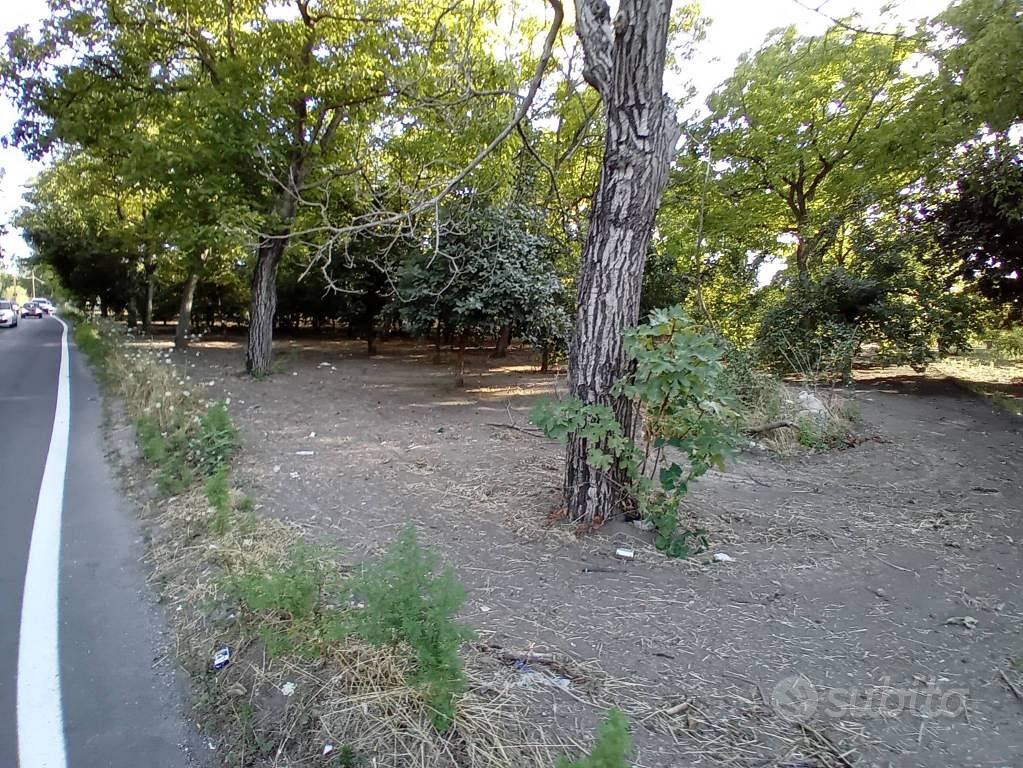Terreno di 3537 m² a San Gennaro Vesuviano - Vista 2