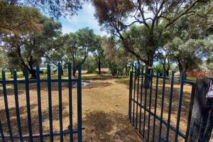 Vendita terreno edificabile