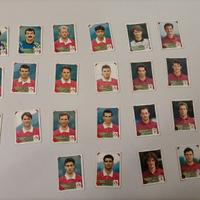 Figurine panini 1993-94