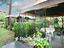 Immagine 29