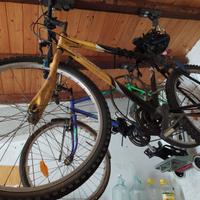 Bicicletta