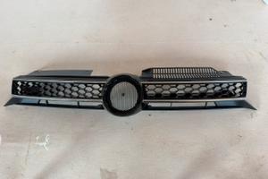 Grigia/calandra golf 6