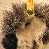 Peluche Riccio Steiff