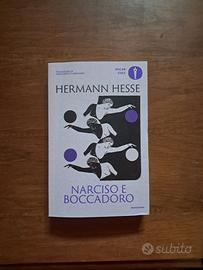 Narciso e Boccadoro