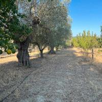 Cottage in piccolo Eden