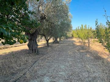 Cottage in piccolo Eden