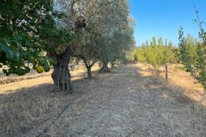 Cottage in piccolo Eden