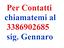 Immagine 3