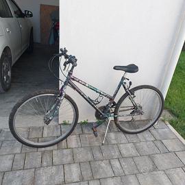 Bicicletta Mountain bike e Porta bici 3 posti