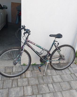 Bicicletta Mountain bike e Porta bici 3 posti