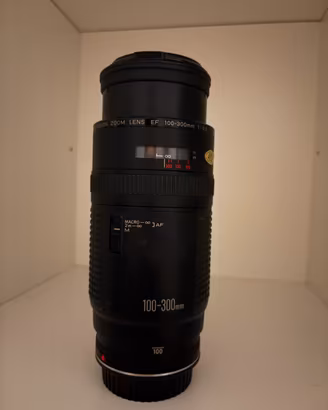 Canon EF 100-300 f/5.6