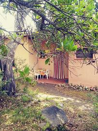 Casa vacanze corsica