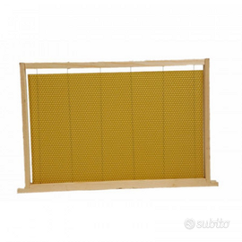 Telaini e fogli cetei