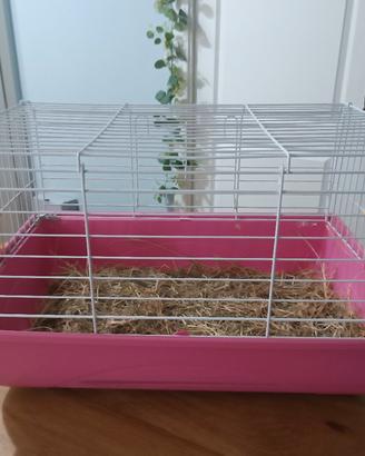 gabbietta per piccoli animali