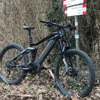 Bicicletta Ebike elettrica