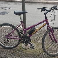 Bicicletta Mountain bike
