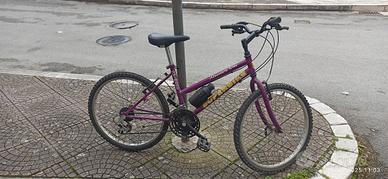 Bicicletta Mountain bike