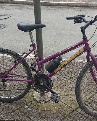 Bicicletta Mountain bike