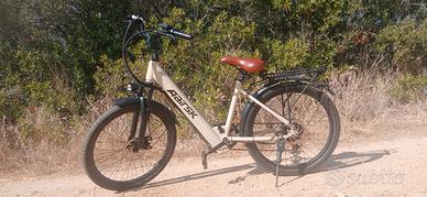 bicicletta elettrica e bike