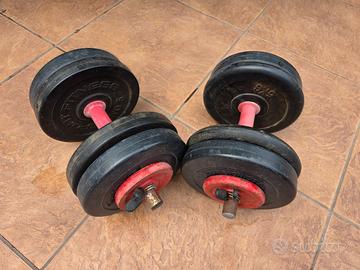 coppia manubri scomponibili totale 34 kg