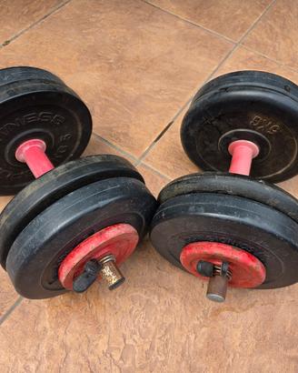 coppia manubri scomponibili totale 34 kg
