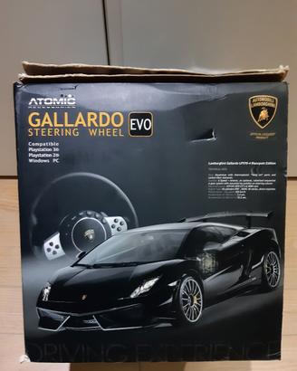 volante per videgiochi