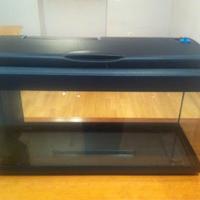 Acquario 100 Litri con Filtro Integrato