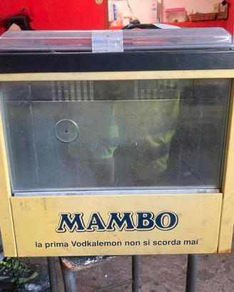 Freezer Mambo